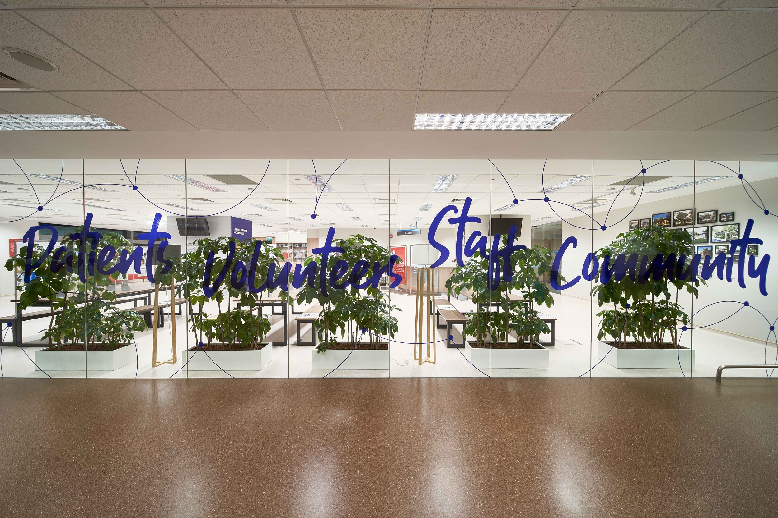 Large and eye-catching transparent stickers decorate the gallery without obscuring the client’s space