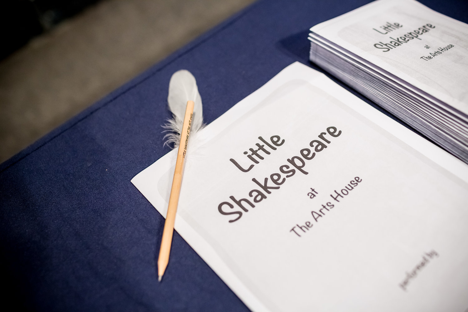 Little+Shakespeare-1001