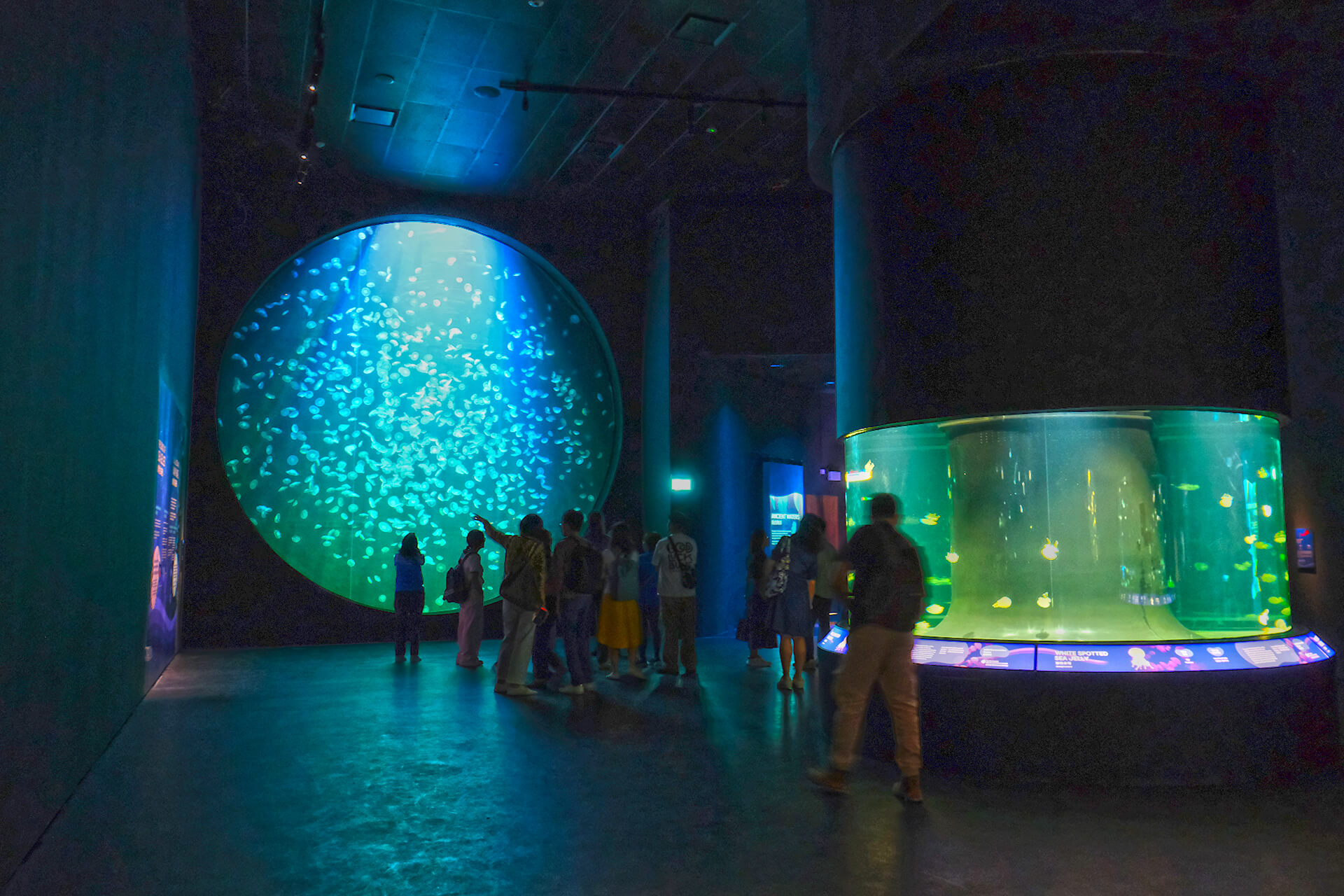 Singapore Oceanarium Zone 1