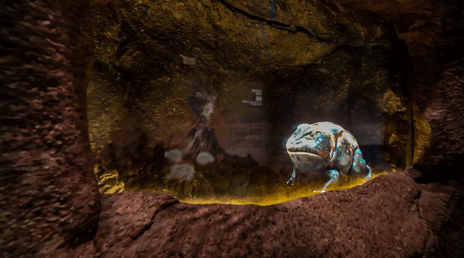 Beelzebufo in digital
