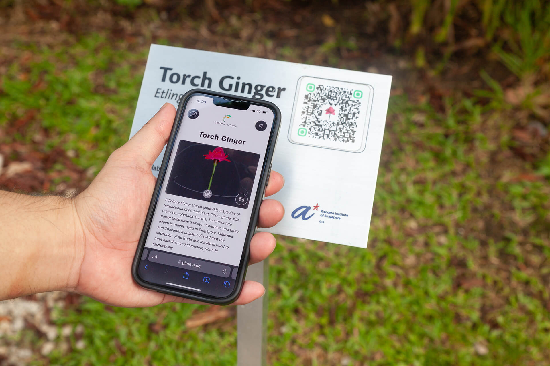 Genomic Garden: Rather than presenting comprehensive research findings, we curated the complex data into accessible content that was relevant and engaging for our target audiences.