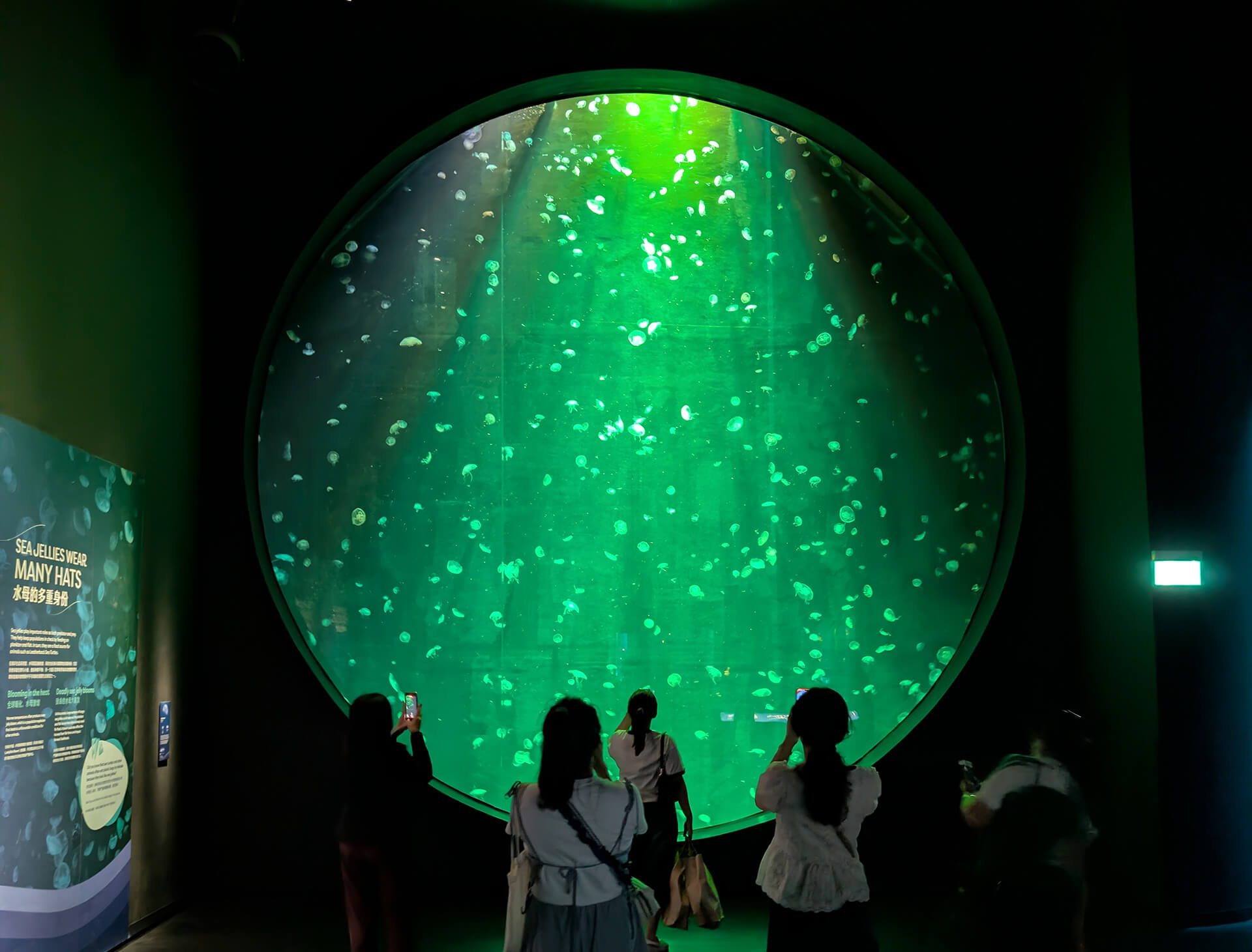 The upstream question for Singapore Oceanarium was never what visitors should see. It was what they should feel, and what that feeling should move them to do. The upstream question for Singapore Oceanarium was never what visitors should see. It was what they should feel, and what that feeling should move them to do.