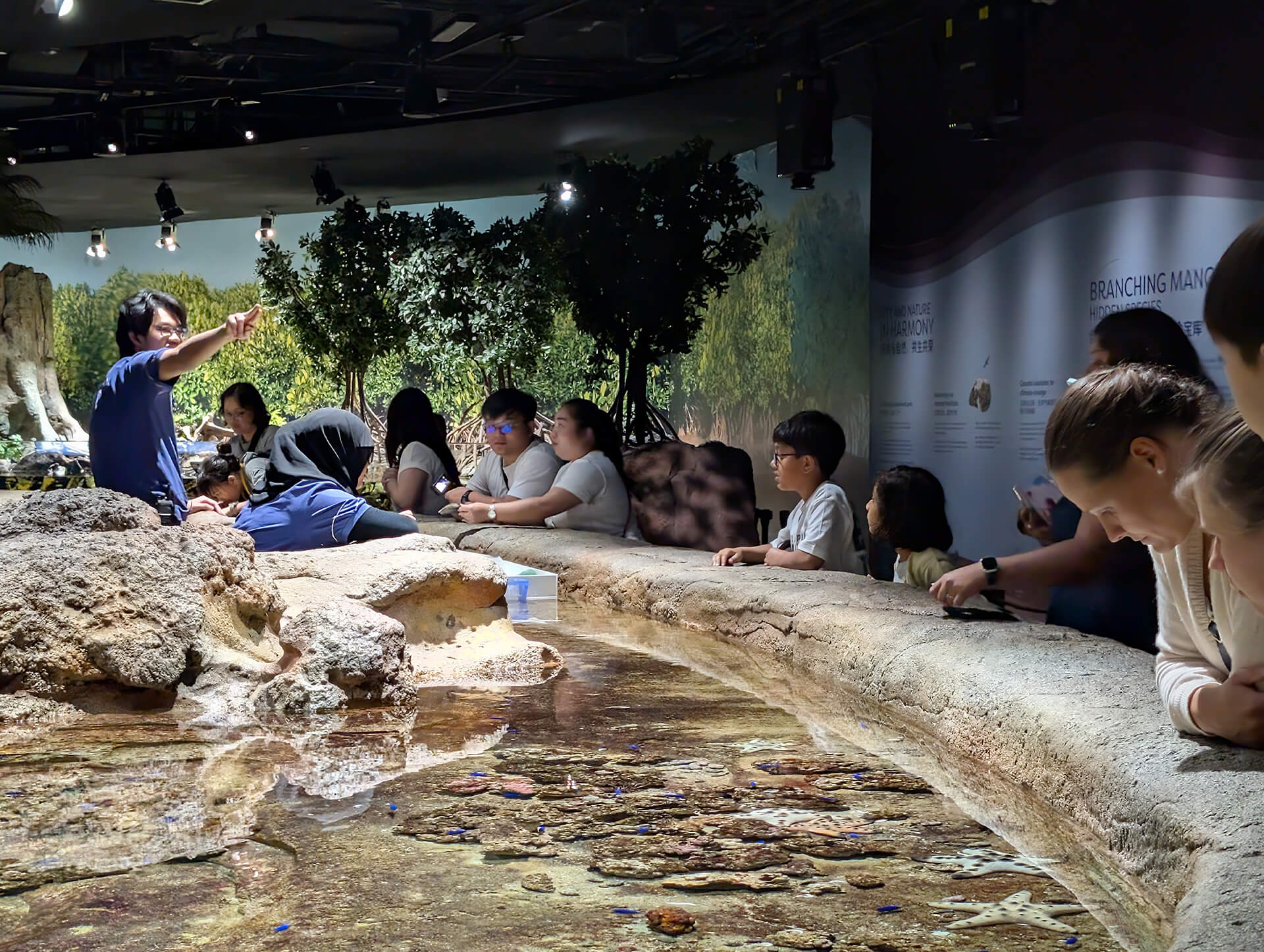 Singapore Oceanarium photo