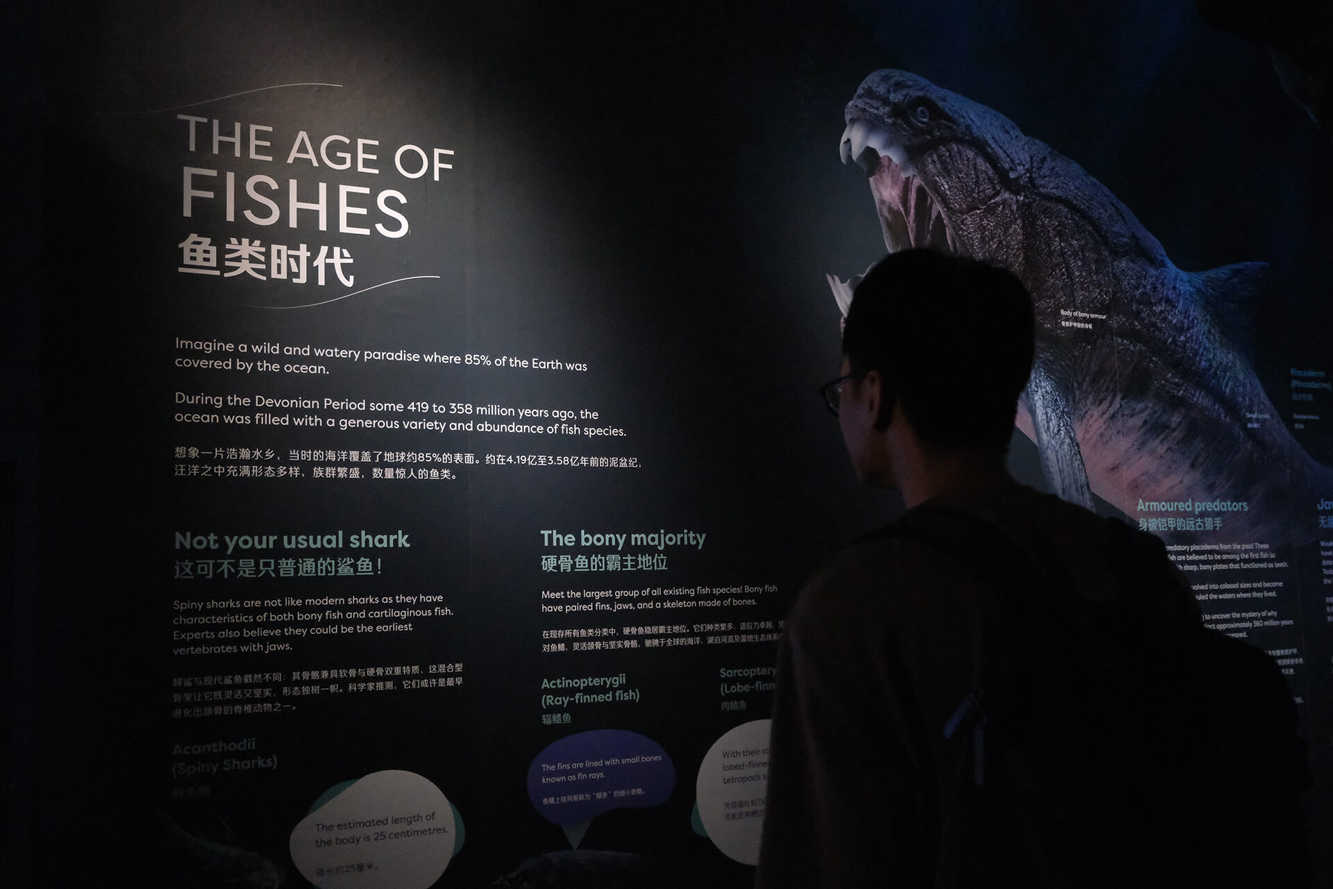 A visitor reads "The Age of Fishes" interpretive panel in English and Chinese at Singapore Oceanarium, part of the storytelling and interpretive design HOL led across the institution's 22 zones.