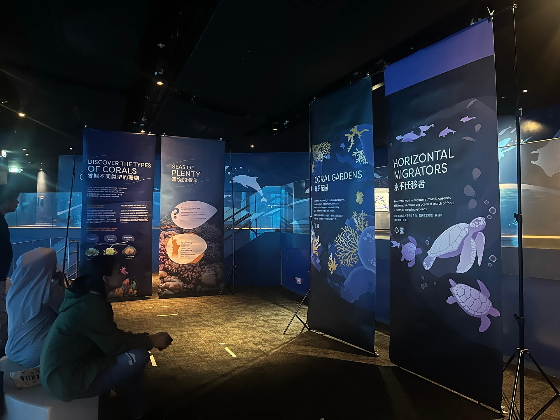 Full-scale exhibition panels set up on stands for on-site readability and placement testing at Singapore Oceanarium, before the final set was printed and installed.