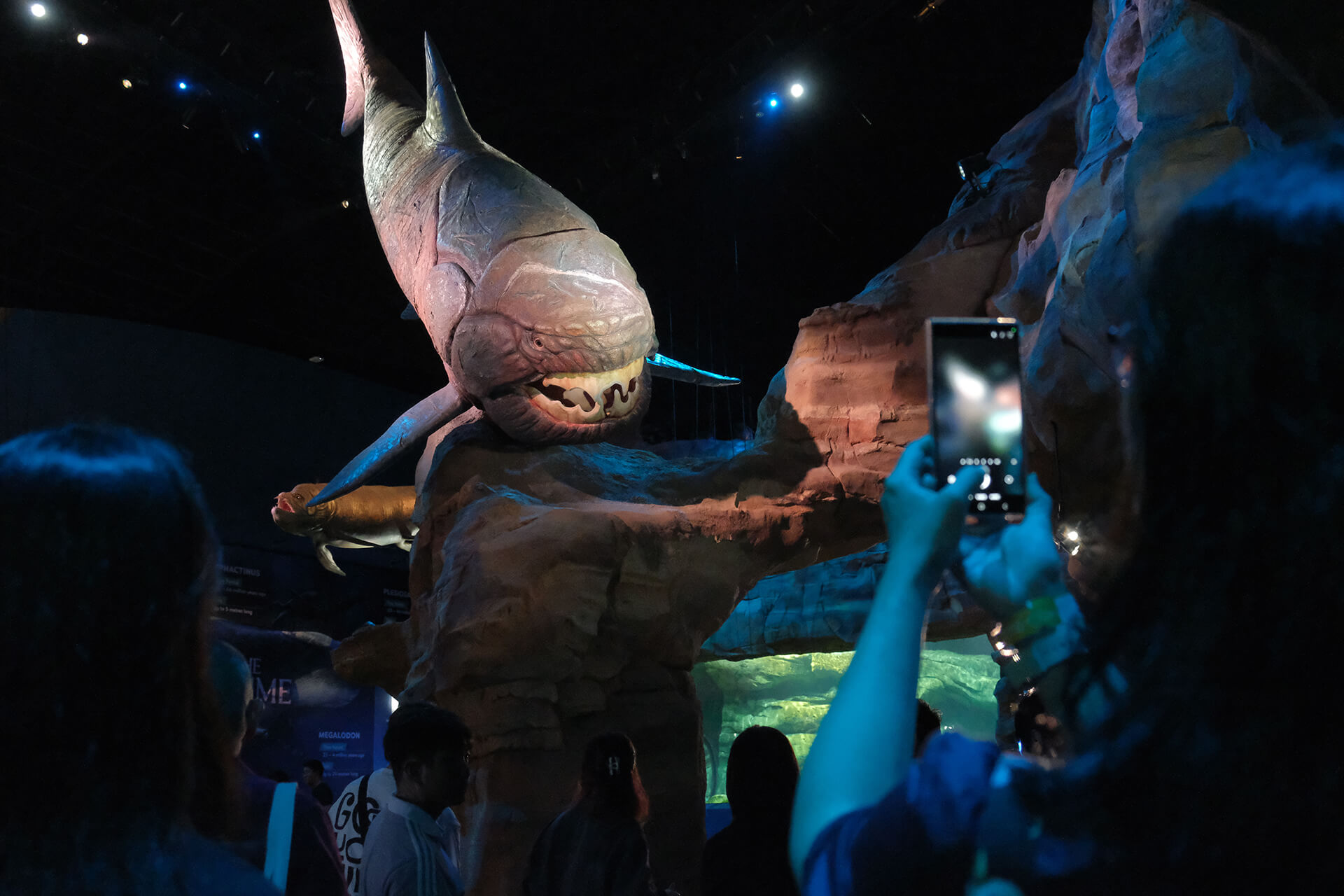 Visitor photographing a large prehistoric fish model within an immersive marine life exhibition.