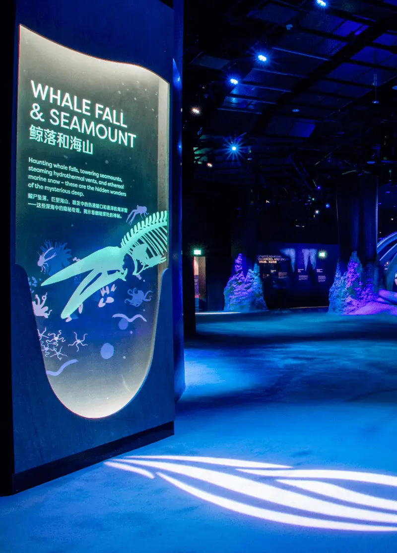 Singapore Oceanarium, Whale Fall